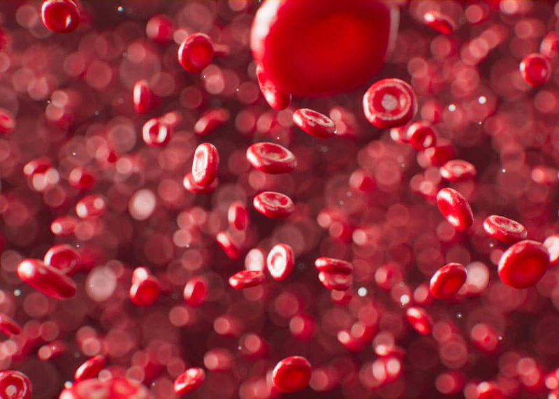 red blood cells